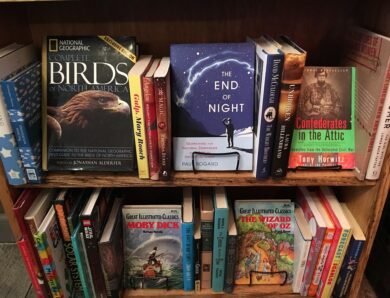 Inspirez-vous avec ces magnifiques maquettes Book Nook à travers le monde