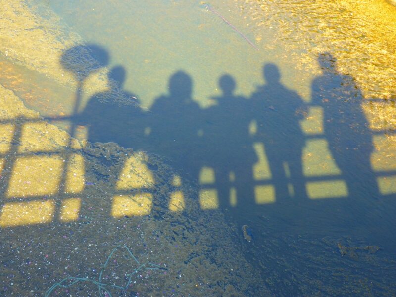 Stratégies pour contrer la faiblesse de type acier des Pokémon ennemis